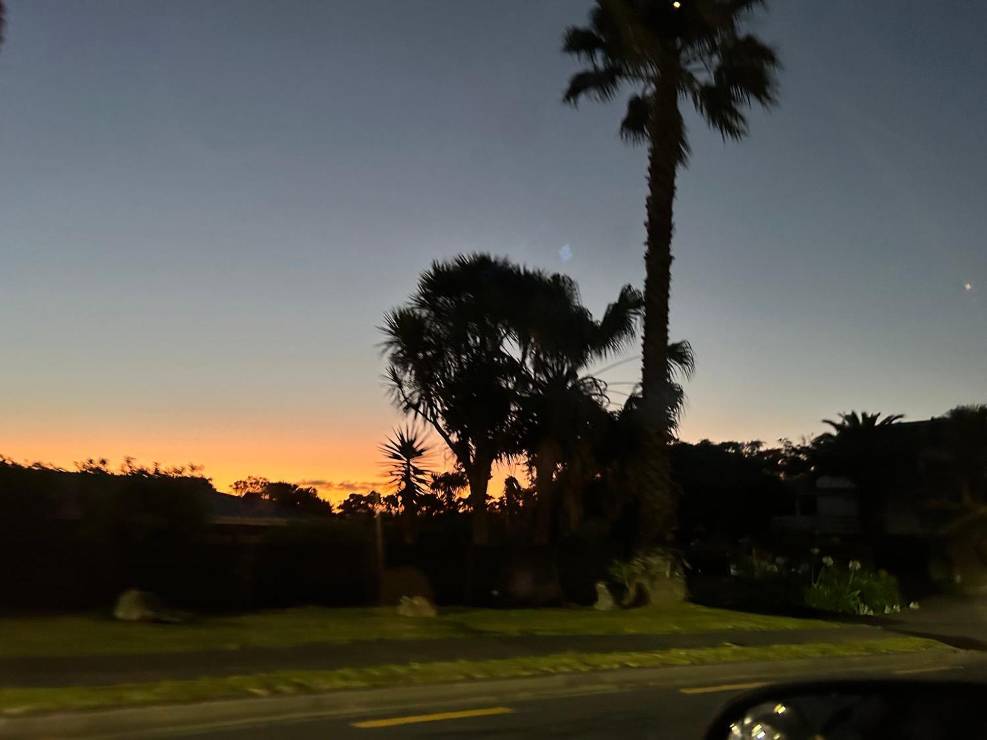 Nz * Auckland
